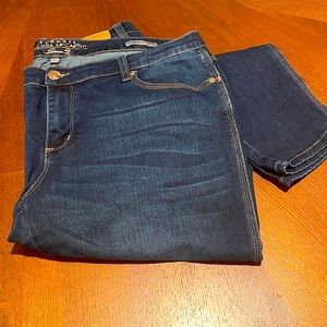 Plus Size Denim Jegging